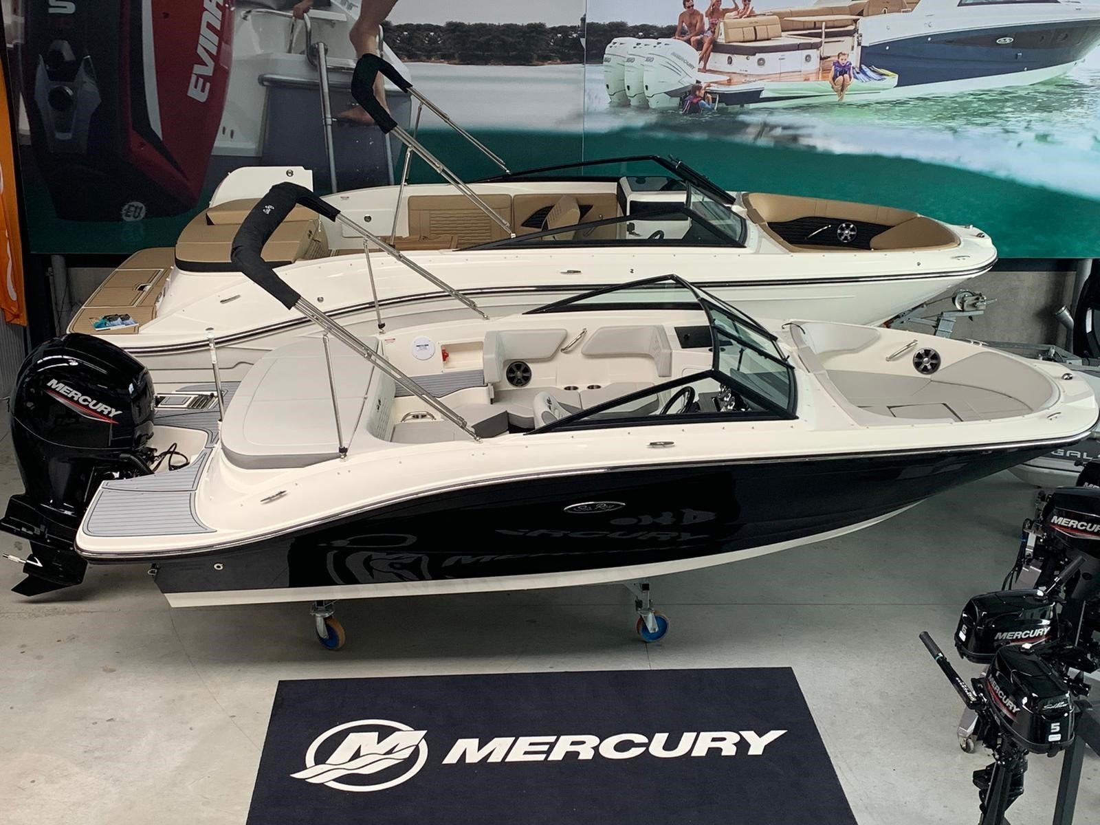 Sea Ray SPX 190 Outboard
