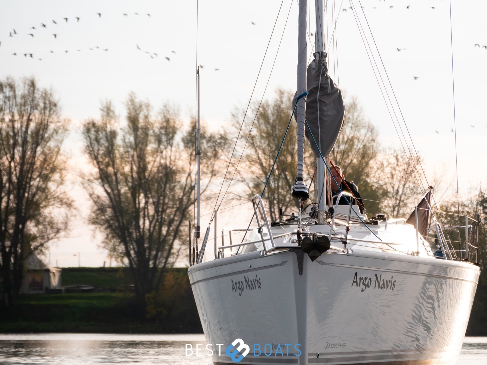 31 - Argo Navis - 2021-1411