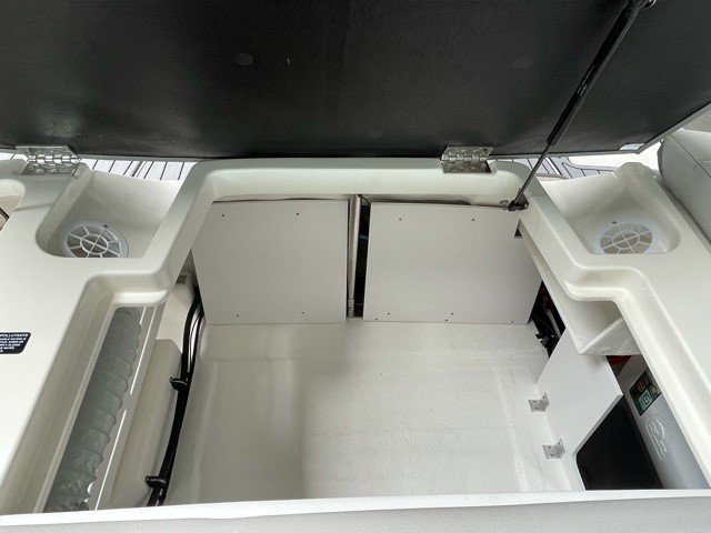 Sea Ray SPX 190 Outboard