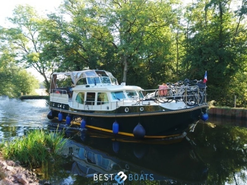 Dutch Sturdy 380 AC - Wumbaba - 2021-1414